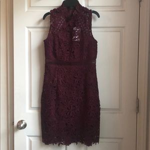 Bardot lace dress